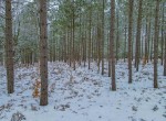 DJI_0173