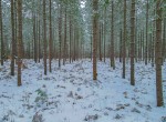 DJI_0174