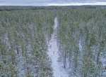 DJI_0183