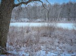 IMG_1549