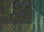 LFA Tom L 40 Acres in Haring Twp Cadillac MI