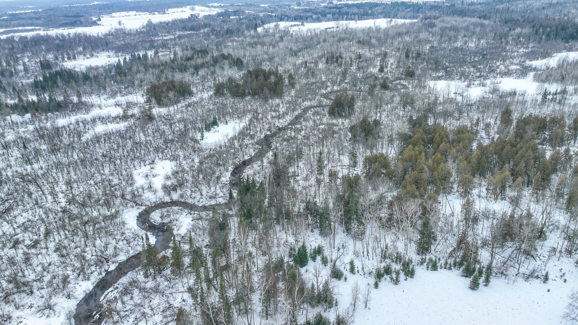 119 Acres 30th Ave Avenue, Evart, MI 49631 Trophy Class Real Estate