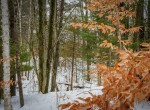 DSC00990-2