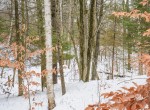 DSC00991-2