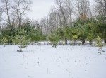 DSC00993-2