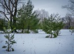 DSC00995-2