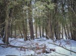 DSC00997-2