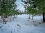 IMG_1562-2