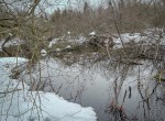 IMG_1570-2