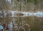 IMG_1616-2