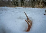 IMG_1622-2