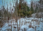 IMG_1637-2