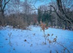 IMG_1646-2