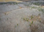 dji_fly_20240329_161518_138_1711743353263_photo