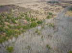 dji_fly_20240329_161522_140_1711743496327_photo