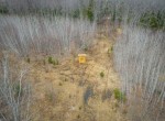 dji_fly_20240329_161558_143_1711743388585_photo
