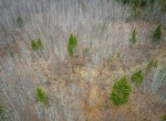 dji_fly_20240329_161718_147_1711743610747_photo