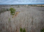 dji_fly_20240329_161724_148_1711743620280_photo