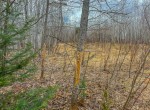 IMG_3327