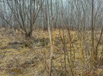 IMG_3330
