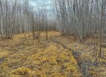 IMG_3332