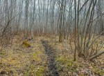 IMG_3334