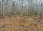 IMG_3337