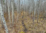 IMG_3338