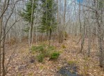 IMG_3339