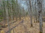IMG_3340