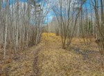 IMG_3355