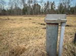 IMG_2265