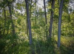 DJI_0071