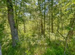 IMG_5556