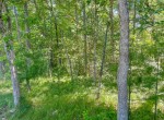 IMG_5559