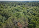 dji_fly_20240624_111930_94_1719242443616_photo