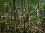 IMG_5703