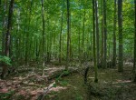 IMG_5706