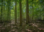 IMG_5707