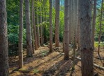 IMG_5709