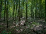 IMG_5714