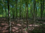 IMG_5715