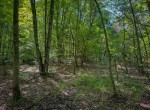 IMG_5716