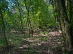 IMG_5717