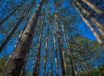 IMG_5720