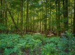 IMG_5725
