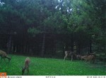 09040029 - Copy