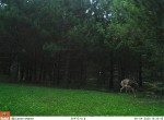 09040048 - Copy
