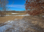 IMG_0368