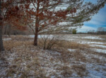 IMG_0370